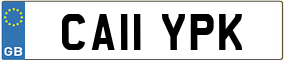 Trailer License Plate